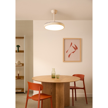 WIND CLEAR STUDIO - 40W ceiling fan, silent, with retractable blades and LED light, various sizes WIFI + Remote control