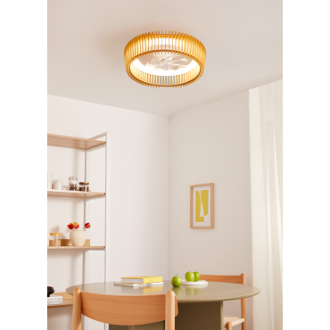 WIND CRAFT - 20W Silent Ceiling Fan with Adjustable Blades and LED Light With light